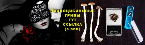гашик Армянск
