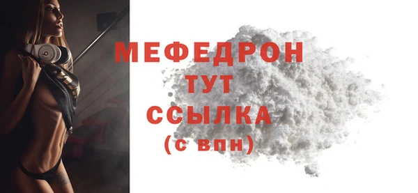 сатива Новозыбков