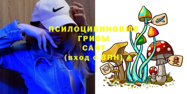 бошки Аркадак