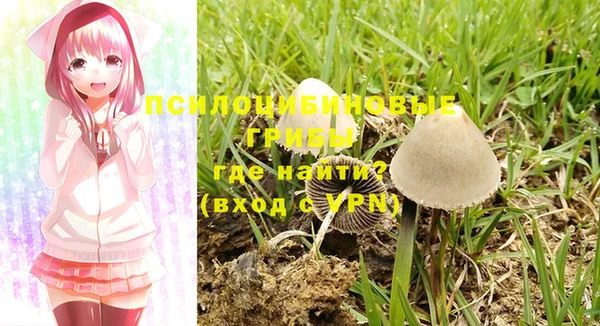 бошки Аркадак