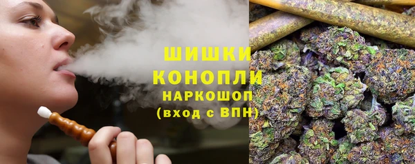 бошки Аркадак