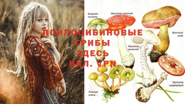 гашик Армянск