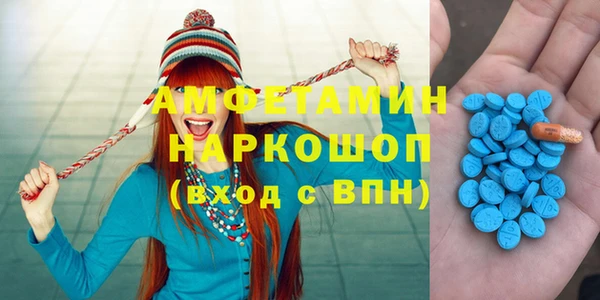 стаф Алзамай