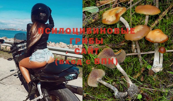 гашик Армянск